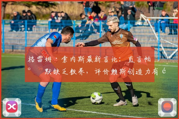 格雷姆·索内斯最新言论:直言帕尔默缺乏教养,评价赖斯创造力有限引发热议